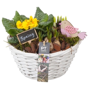 PTBM3093 Arrangementen Tuinplanten