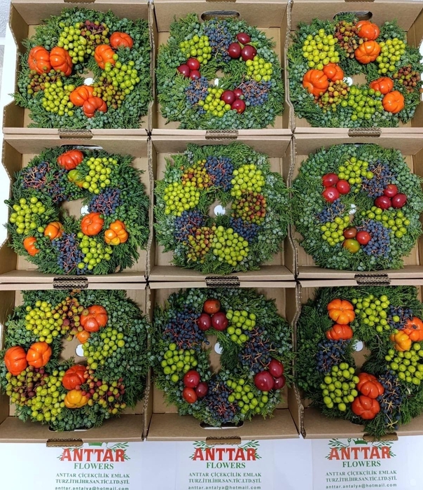 <h4>SIERFRUIT KRANS H%</h4>