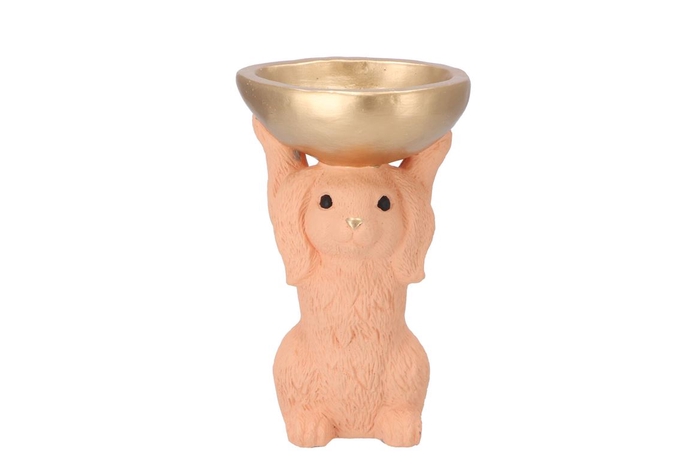 <h4>Easter Bunny-bowl Light Orange 15x13x23cm Nm</h4>