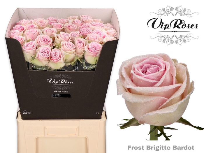 <h4>R Gr Ov Klb H%</h4>