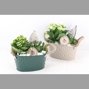 arr2 PL - Zink ovaal groen creme mix