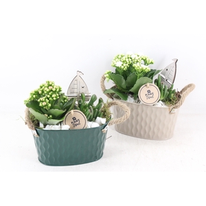 arr2 PL - Zink ovaal groen creme mix