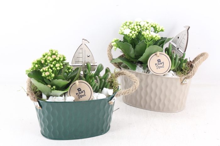 <h4>arr2 PL - Zink ovaal groen creme mix</h4>