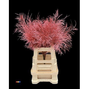 Treefern Metallic Red