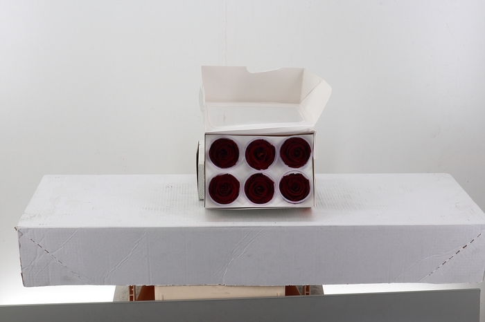 <h4>Rosa Preserved Red</h4>