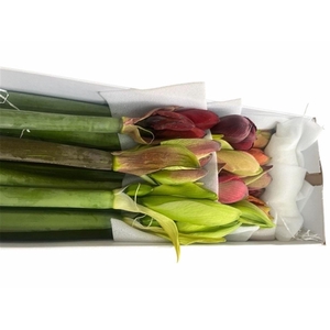 Hipp Gemengd In Doos