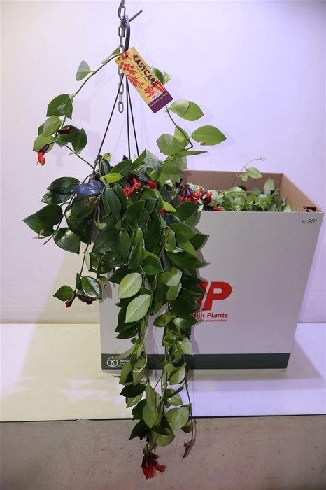 arr8 Aeschyn Mona Lisa