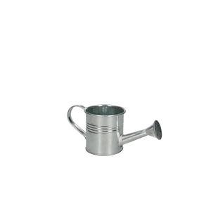 Zinc Watering can d07*07cm