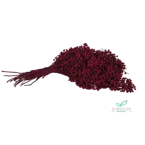 PEPPERBERRIES FUCHSIA 200gr
