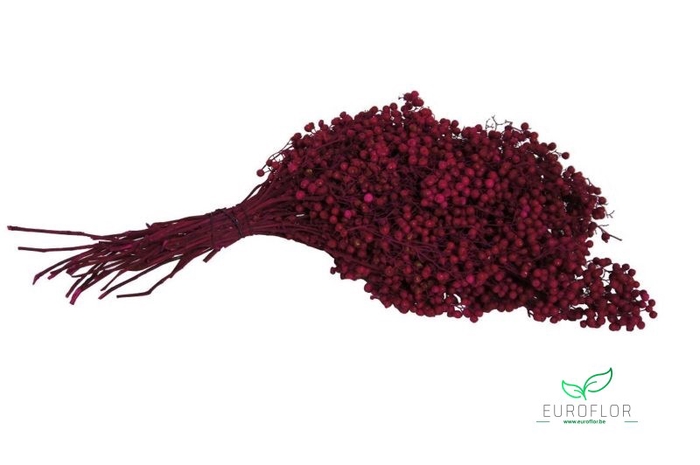 PEPPERBERRIES FUCHSIA 200gr