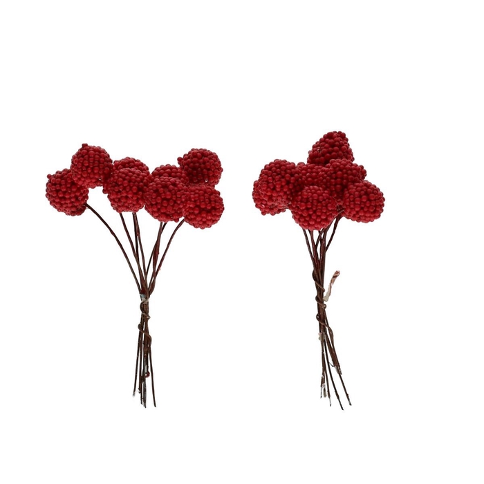 Herfst Framboos/draad d1cm x64