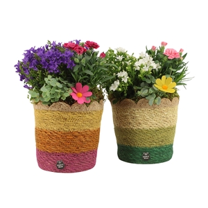 31685: Outdoor summer arrangement