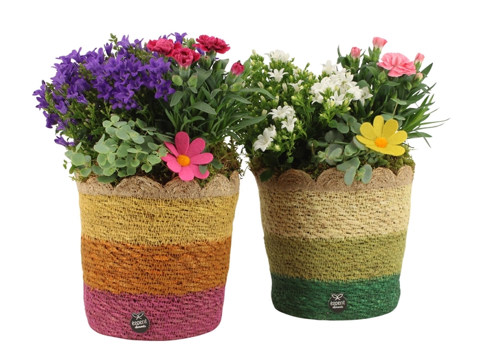 <h4>31685: Outdoor summer arrangement</h4>