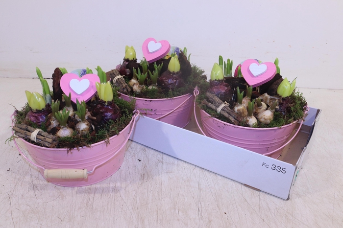 <h4>ARR BOL KNOLGEWAS</h4>