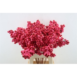 Berries Big Bordeaux