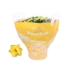 Kalanchoe Rosalina geel Tst, Amarillo, beperkt leverbaar