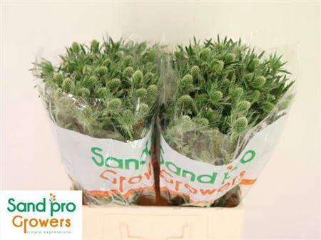 Eryn Mag Whit Lagoon