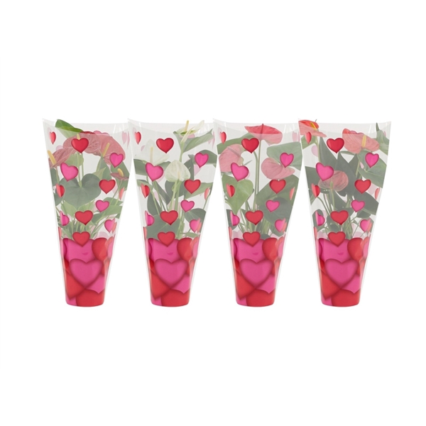 <h4>Anthurium 4 color mix in heart sleeve Lilly</h4>