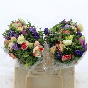 Anemone Fullstar Pastel Mix