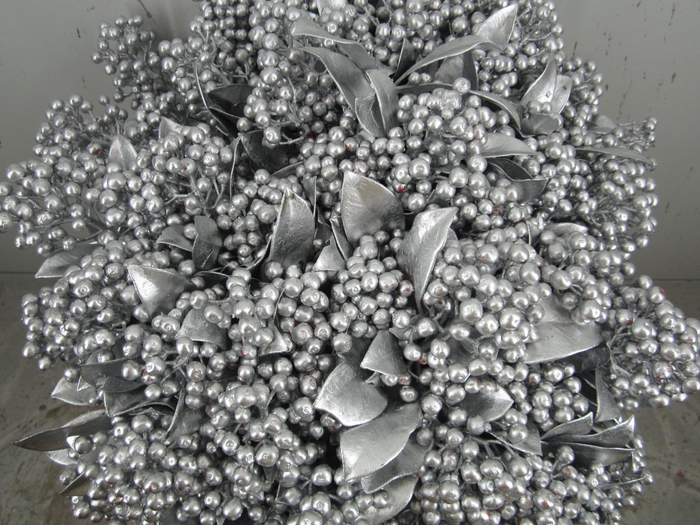 <h4>Skim J A Pabella Zilver</h4>