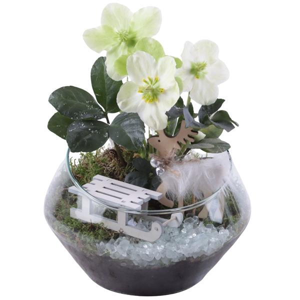 <h4>Christmas Arr. Outdoor Glass Oblique UFO Vase Ø20cm 1PP</h4>