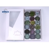 Echeveria Mecx Flowers (incl. Stick&pin) Incl. Mec
