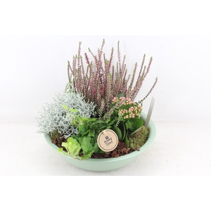 arr4 Outdoor PL  - Zink schaal groen