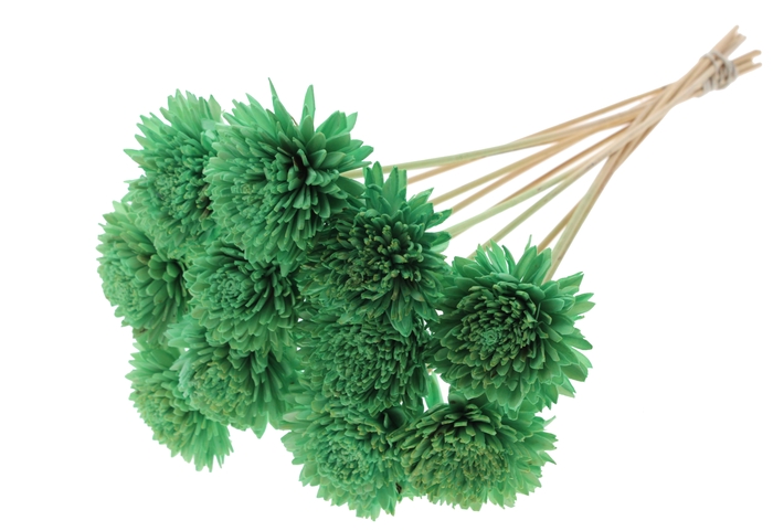 Shola Zinia Ø8cm on stem Mint