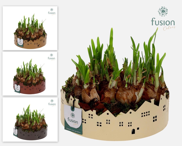 <h4>Zinken schaal Huisjes Large met Narcis</h4>