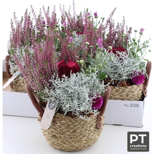 ARR TUINPLANTEN