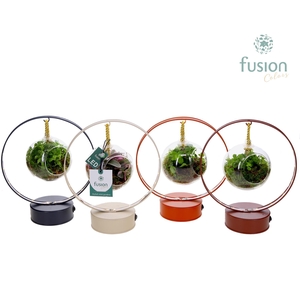 LED planter zink boog met groene planten