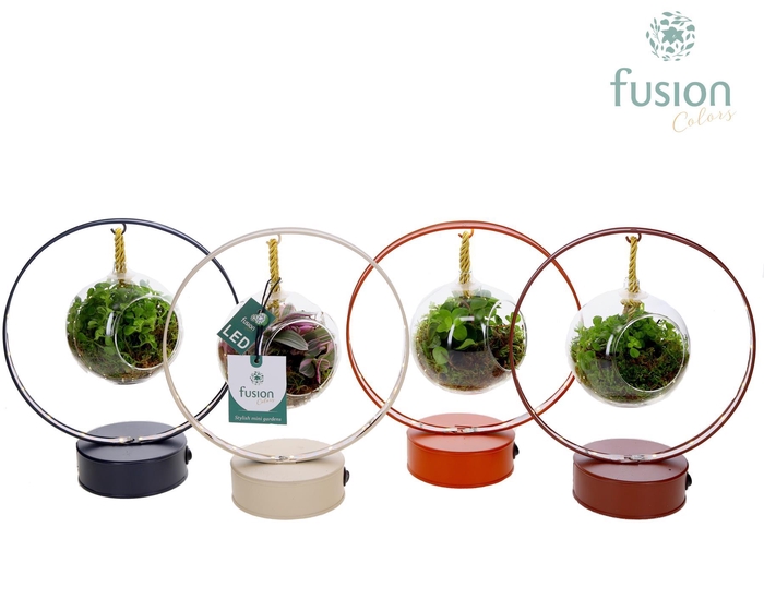 <h4>LED planter zink boog met groene planten</h4>