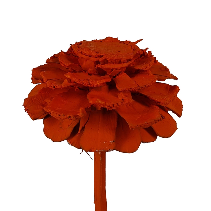 Pine cone cut 5-7cm on stem Orange
