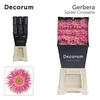 GE GS CROSSETTE