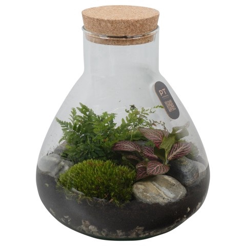 <h4>Opm Pt PTTER8119 Terrarium Glas</h4>