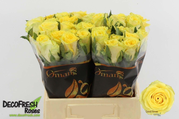 <h4>R GR Good Times</h4>