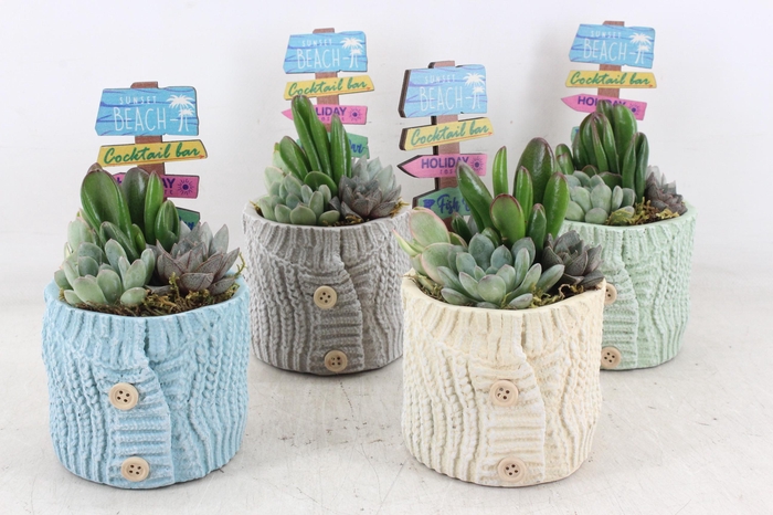 <h4>arr3 AD - Sweaty</h4>