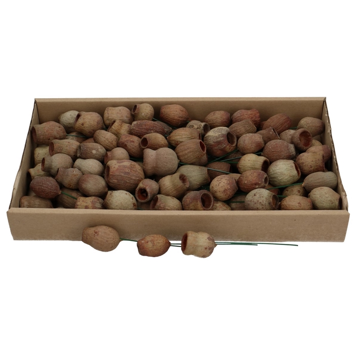 Droogdeco BellGums/draad x100