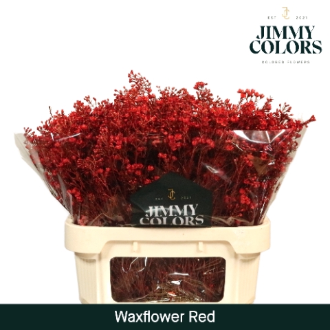 <h4>Waxflower premium L80 Rood</h4>