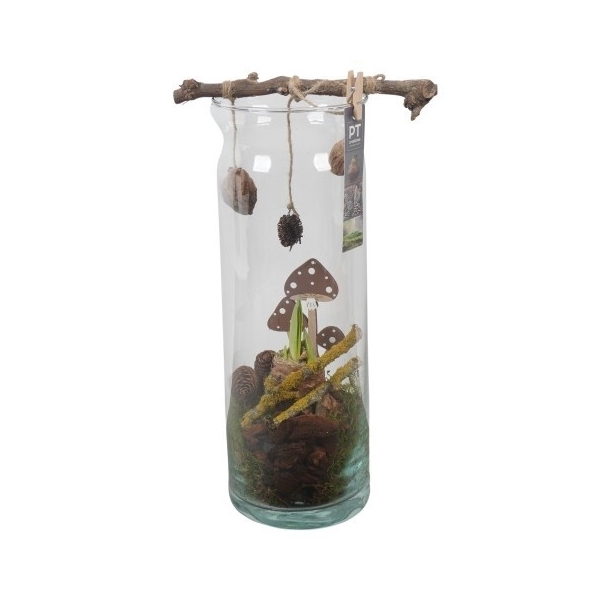 <h4>PTAA7594 Arrangement Amaryllis in glazen vaas</h4>