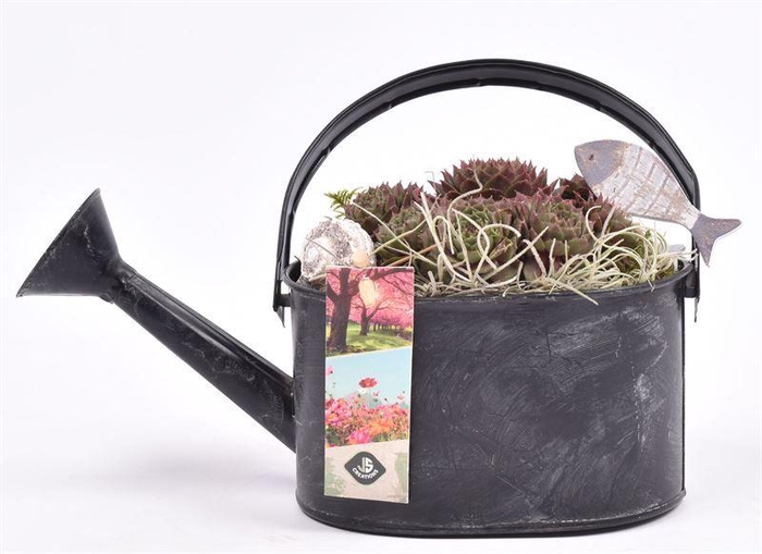 <h4>Zink gieter grijs 23x11cm</h4>