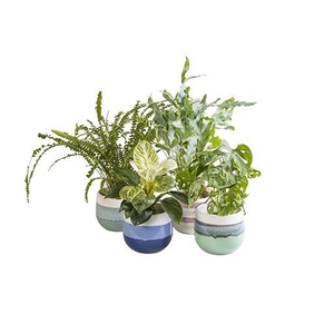 L 65884 Green Mix P10,5