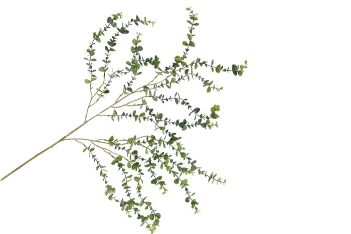 <h4>Silk Eucalyptus Hanging Green 89cm Nm</h4>