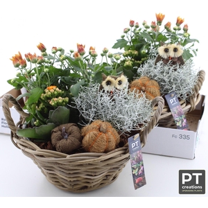 ARR TUINPLANTEN