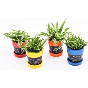 Keramiek pot mix back to school 7cm
