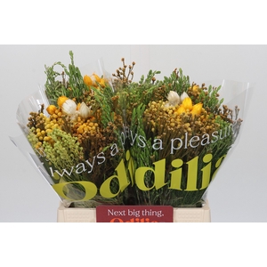 BQ Kaaps Groen Sunset Mix
