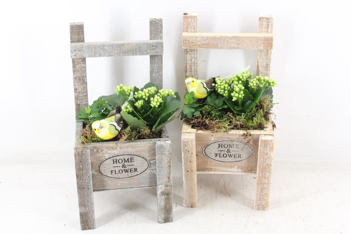 Arr2 Td - Houten Stoel - Wit