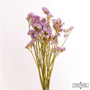 Dried Limonium Statice Milka Bunch