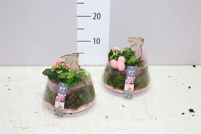 <h4>Arr 9359 Roze Ufo Glas</h4>