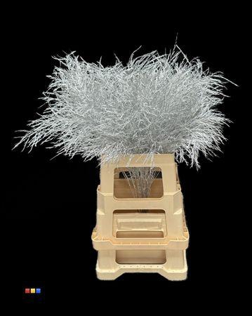 <h4>Treefern Silver</h4>